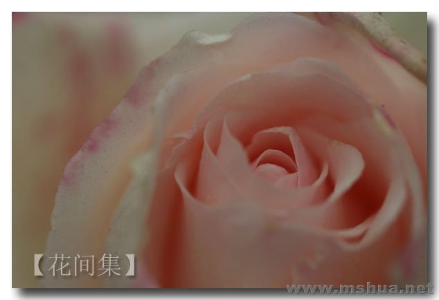 IMG_0605 ����.jpg