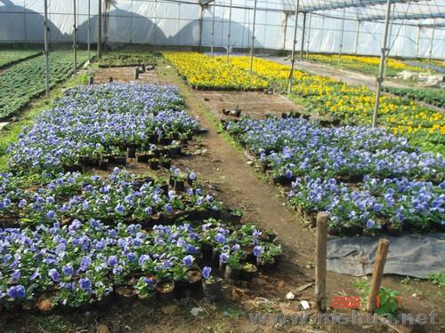 ������С DSC03998.JPG