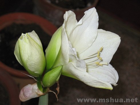 �ŵ���1.4 (2).JPG