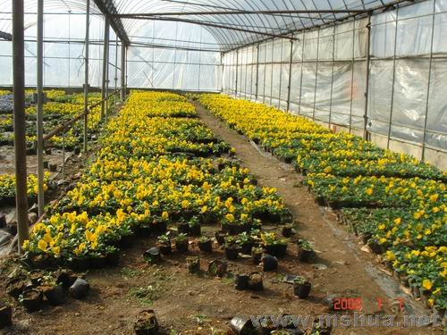 ������С DSC03997.JPG