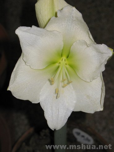 �ŵ���1.4 (13).JPG