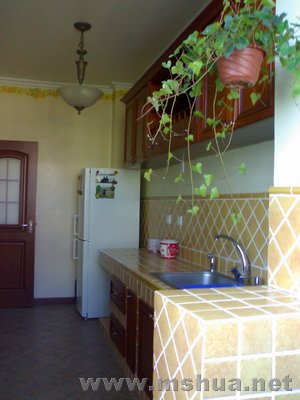 ����̨���ſڿ�