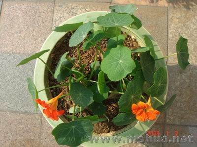 ������С DSC04017.JPG
