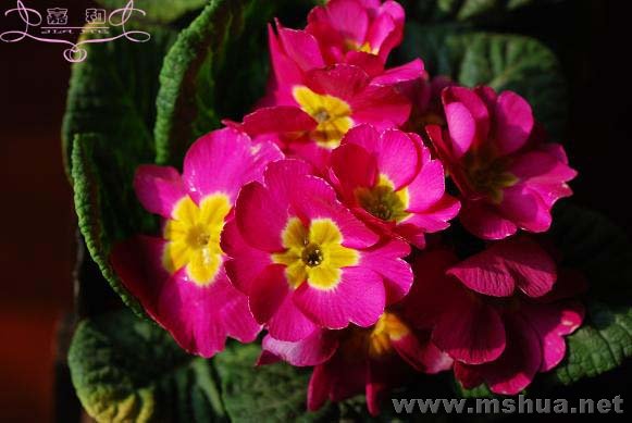 DSC_0194 ����.jpg