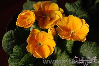 ���� DSC_0190 ����.jpg