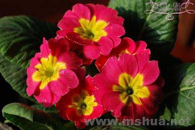 ���� DSC_0195 ����.jpg