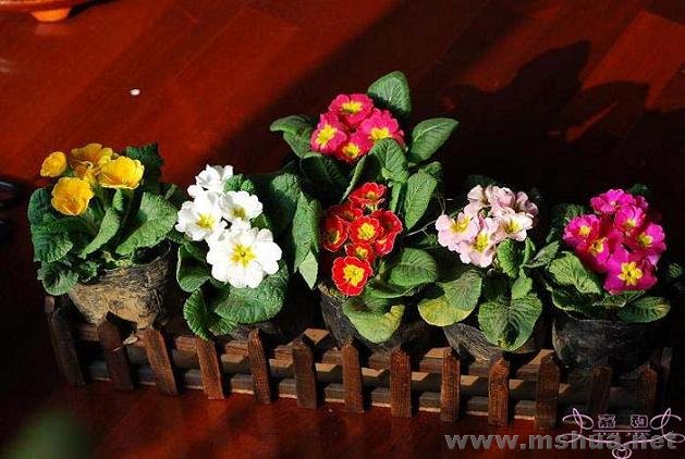 DSC_0181 ����.jpg