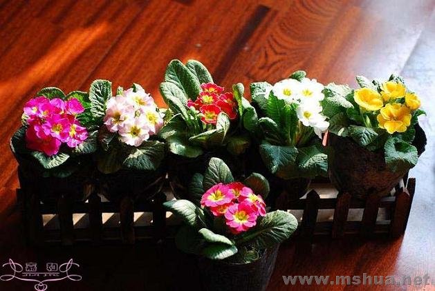 DSC_0180 ����.jpg