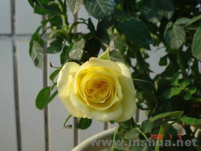 ������С DSC04030.JPG