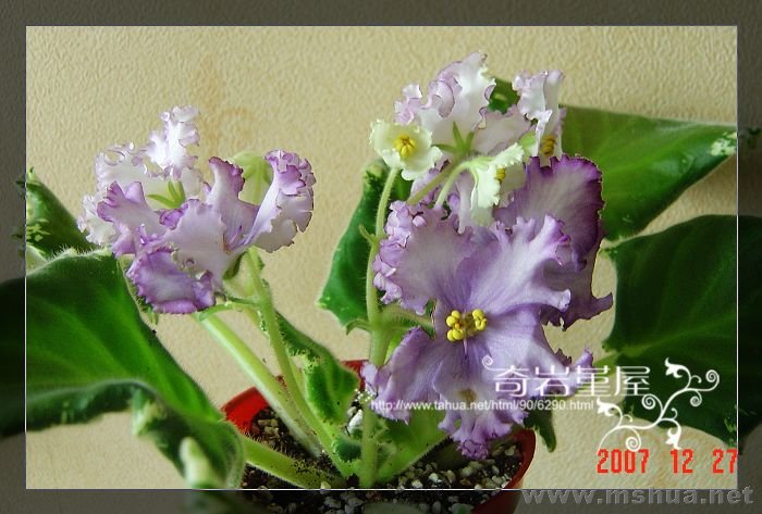 Z-50(backeyerpc1�Хå����� ��ץ饳�`�����`��).JPG