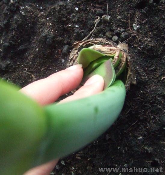 ����һ�£����������أ�Ҳ��˫��Ŷ��