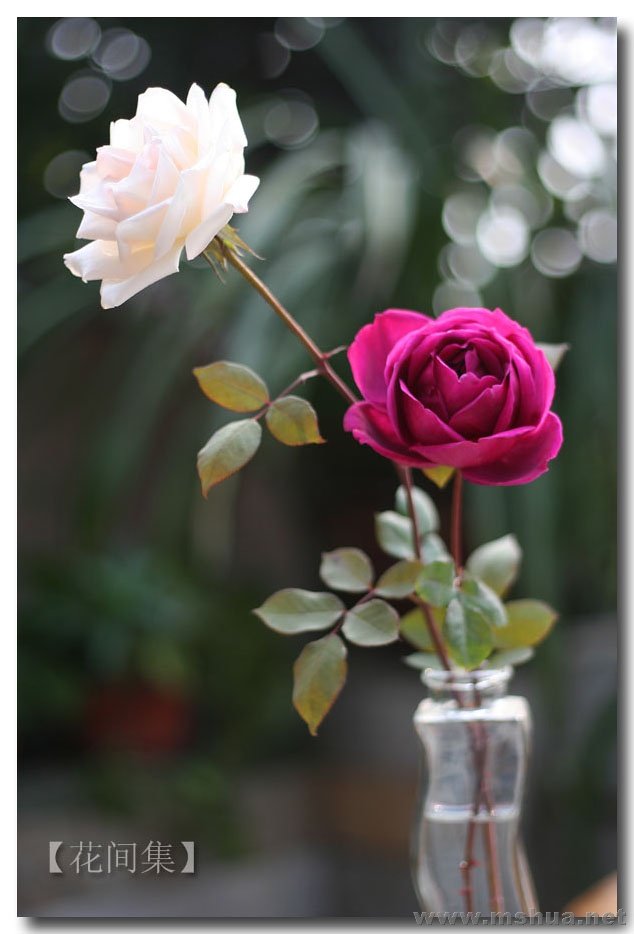 IMG_0730 ����.jpg