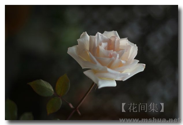 IMG_0720 ����.jpg