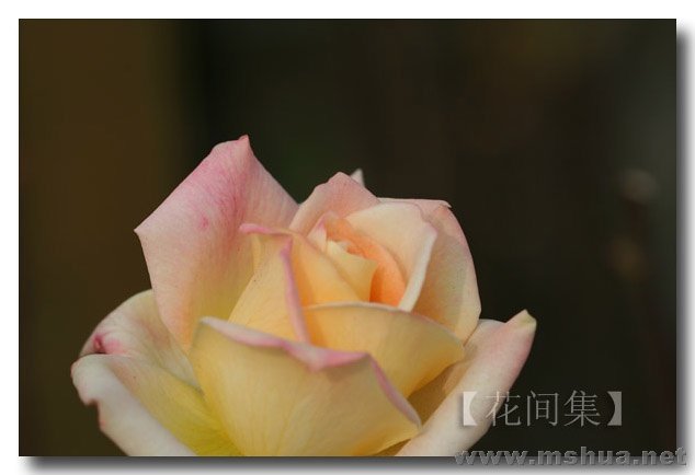 IMG_0648 ����.jpg