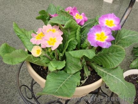 ����Ҳ�Ǹմӻ���������Ҳ��������