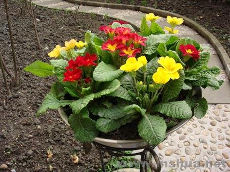 ���������͵�һ����ʽ�Ĵ����룬�����������걨������