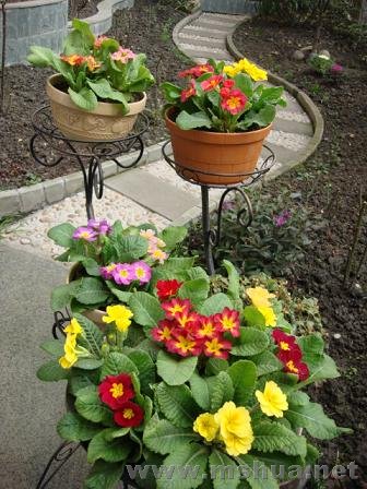 �����Ƕȿ���Ӱ���о���һ��Ӵ