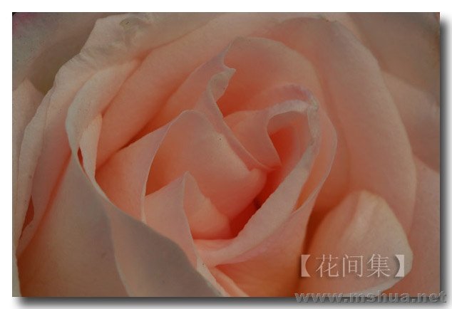 IMG_0646 ����.jpg