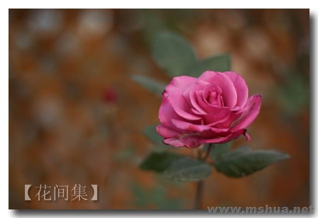 IMG_0725 ����.jpg