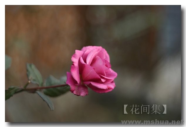 IMG_0721 ����.jpg