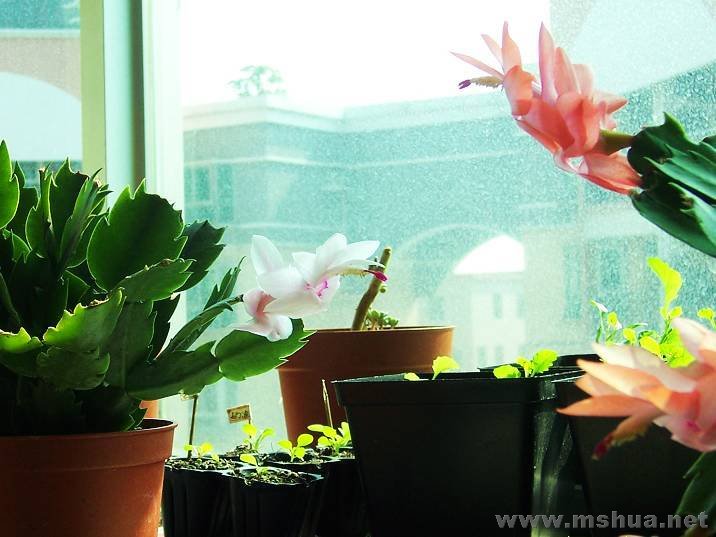 100_17062.jpg