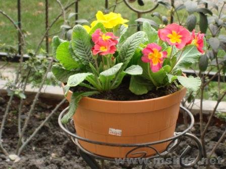 ���������������