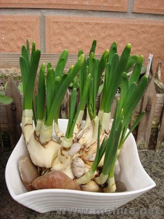 �Լ�ѧ�ſ̵�ˮ�ɣ�ȱ���⣬�����˻�