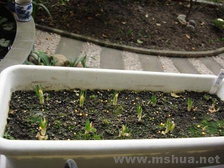 ެ�컨ð��ѿ�ˣ���֪�ǲ��ǻ���