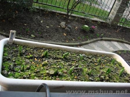 ���˵�����Ͼ�Ȼ�������ģ���ֻ�ø���������״���������