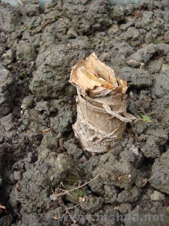 ����Ů�����ҵ�����������Ž����죬�����ÿ���һֱ���ڵ���û����������һ�ţ���ſ���Ҳ�����ˡ�