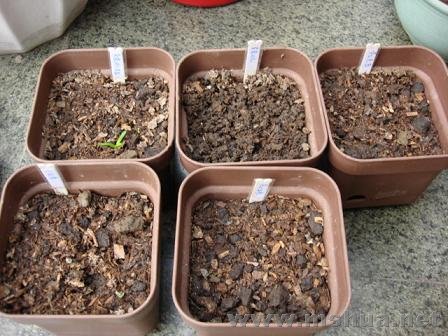 ����ֵ���������ͬʱ���µı��������ѿ�ˣ���ȴû����