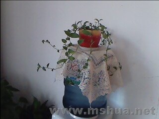 IMG043.JPG