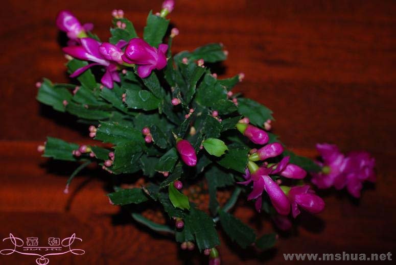 õ��Ϸ7 ����.jpg