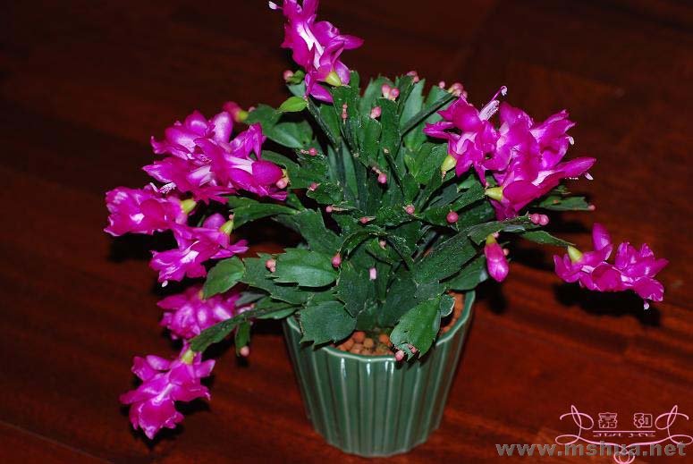 õ��з8 ����.jpg