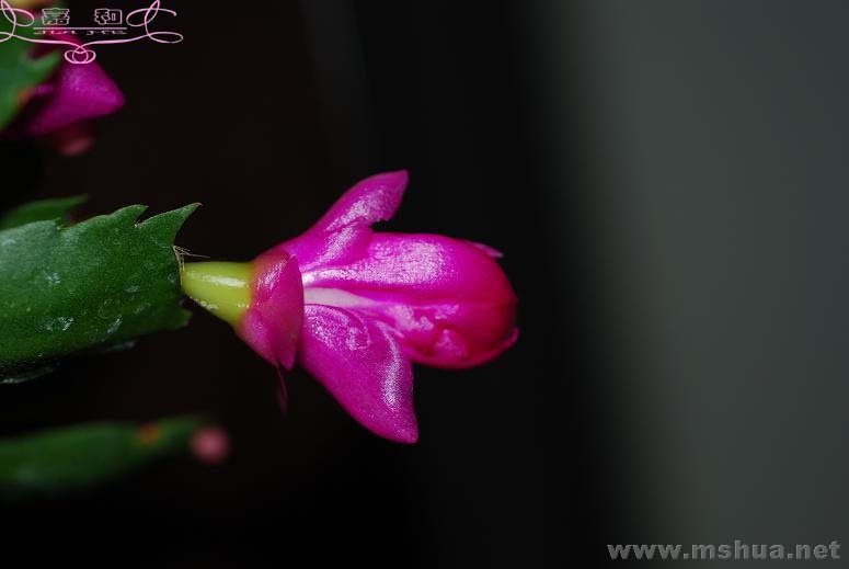 õ��з4 ����.jpg