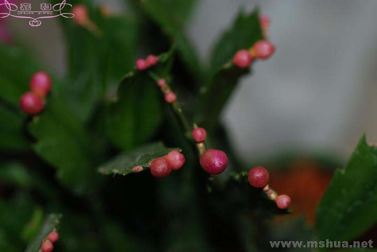 õ��з2 ����.jpg