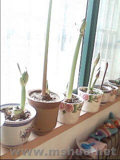 IMG046.jpg