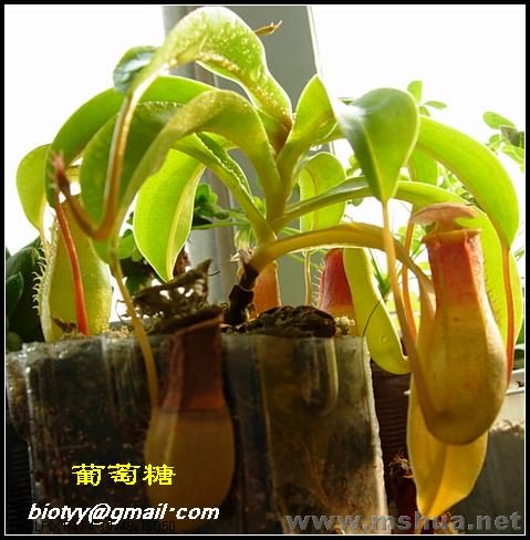 ������080108   3.jpg