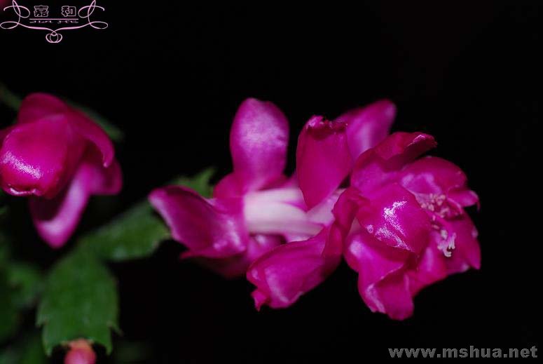 õ��з6 ����.jpg