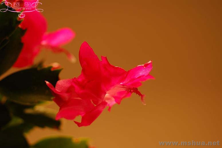 ���з2 ����.jpg