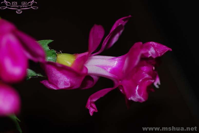 õ��з5 ����.jpg