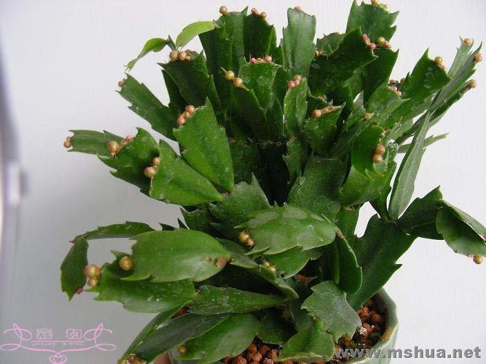 õ��з ����.jpg