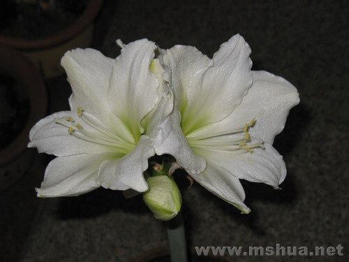 �ŵ���1.7 (2).JPG