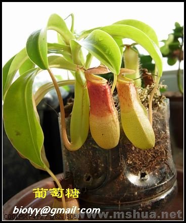 ������080108   2.jpg