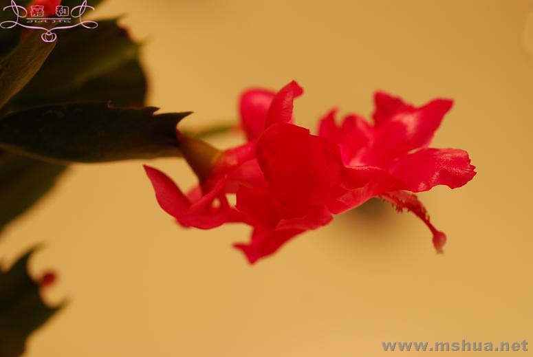 ���з1 ����.jpg