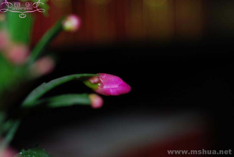 õ��з3 ����.jpg