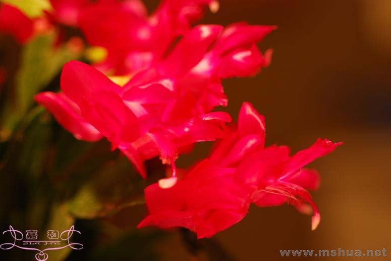 ���з4 ����.jpg