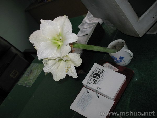 �ŵ���1.9 (11).JPG