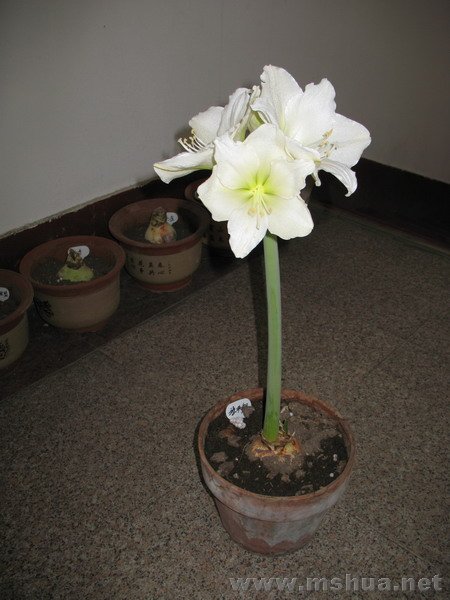 �ŵ���1.9 (7).JPG