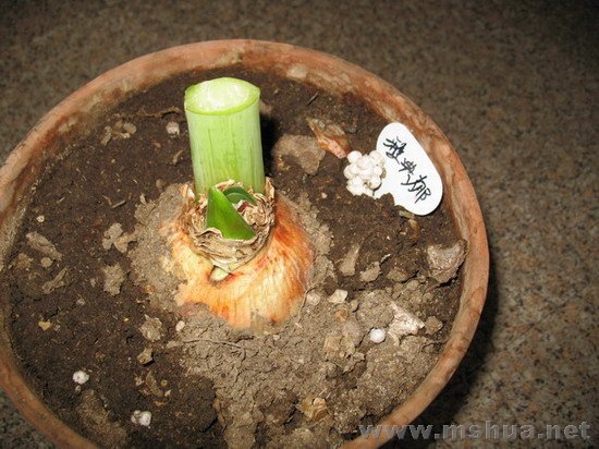 �ŵ���1.9 (9).JPG